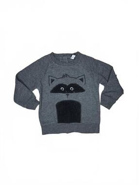 PL Baby Toddler Raccoon Graphic Sweatshirt Size 18m